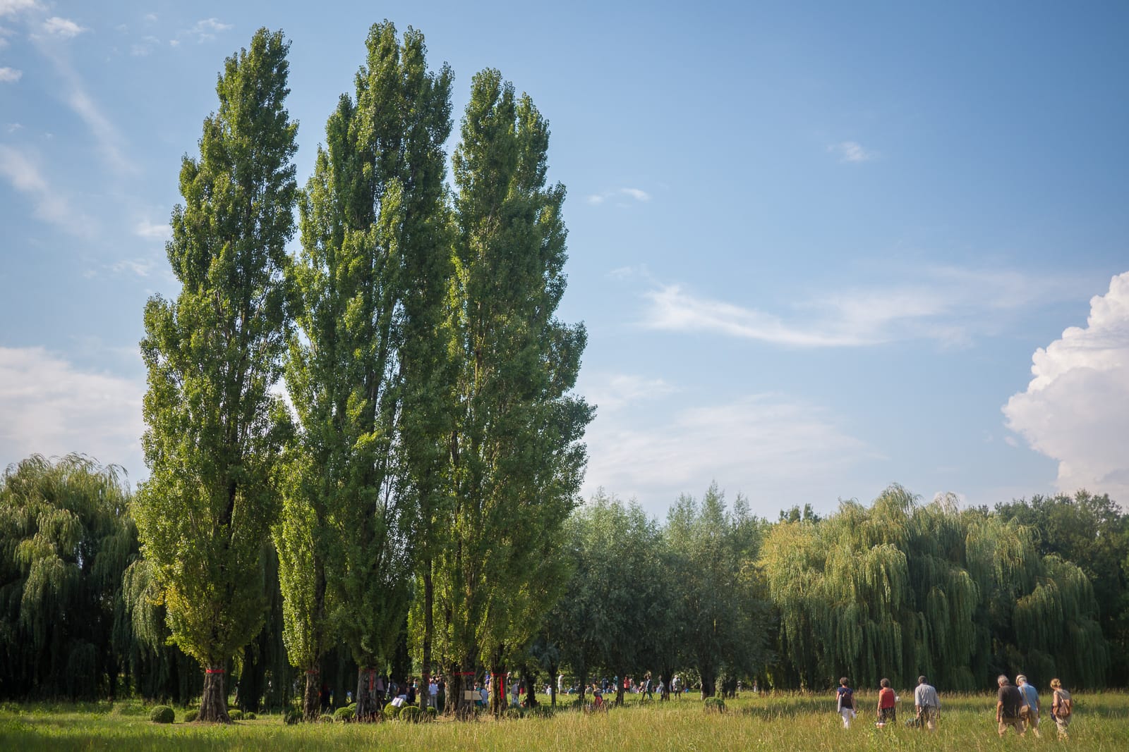 Jardin de musique festival Les arts florissants william Christie®Hermelinecarpentier