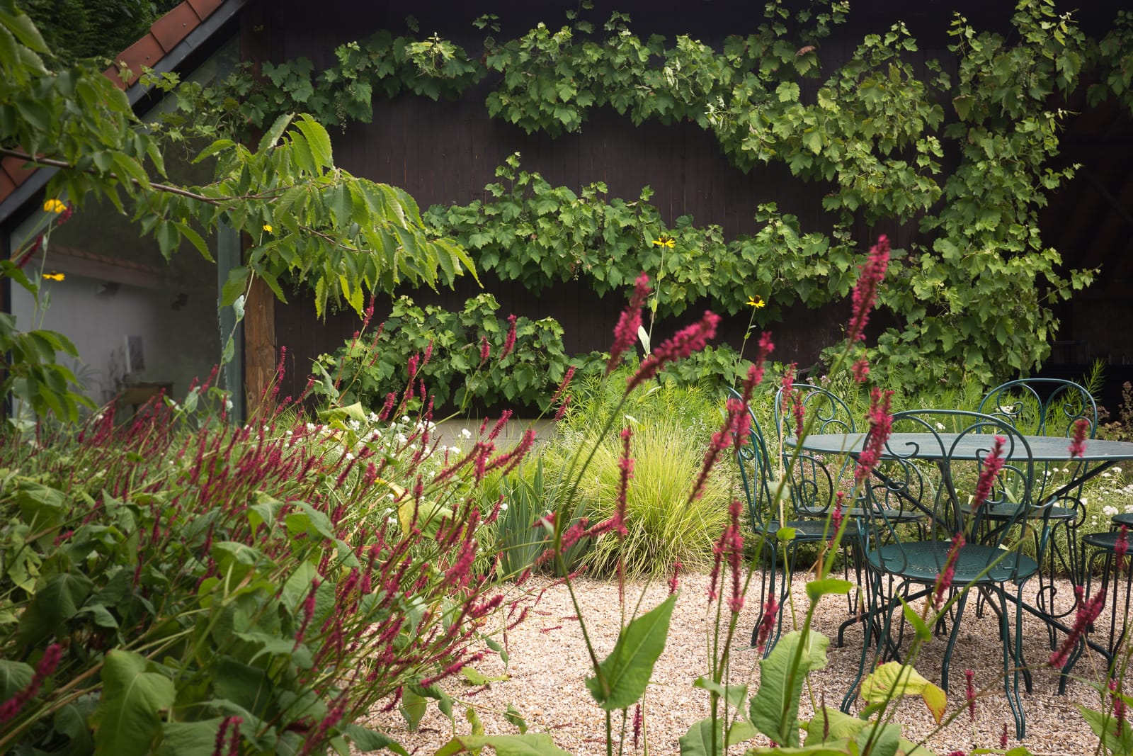 jardin vivaces naturopthe foisonnant