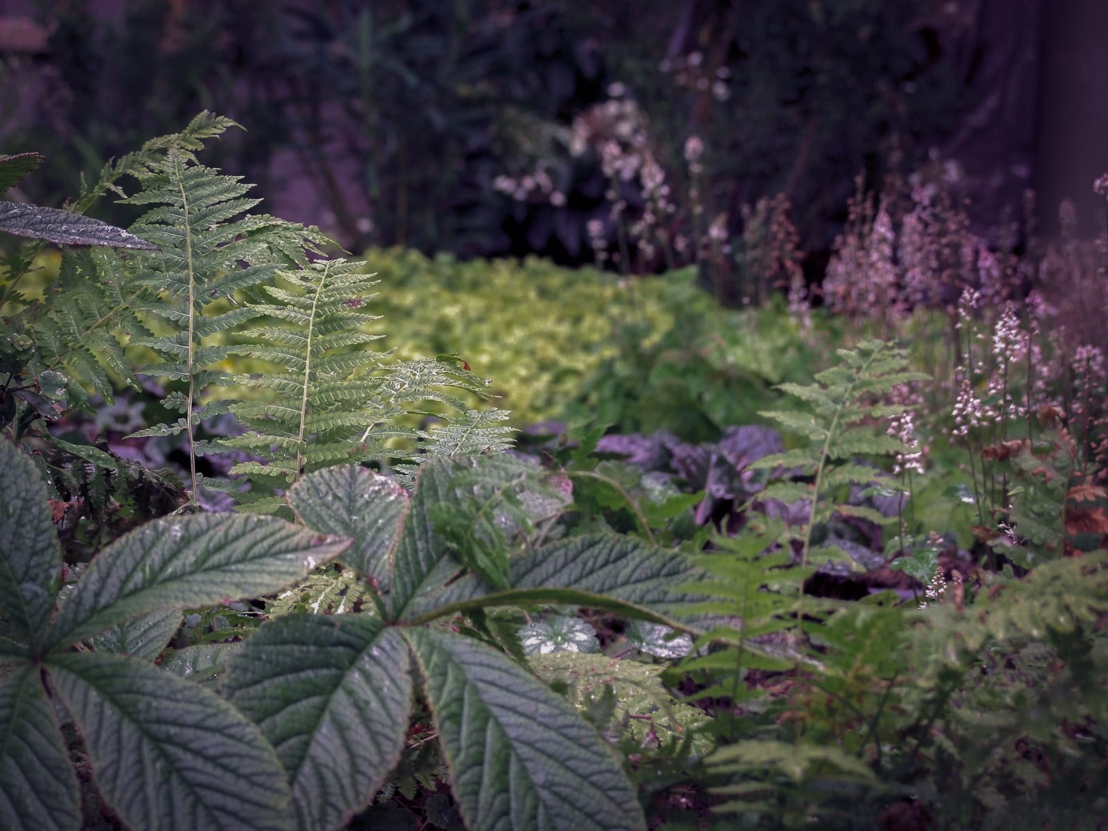 jardin lisière vivaces Roche Bobois coignières ®Hermelinecarpentier