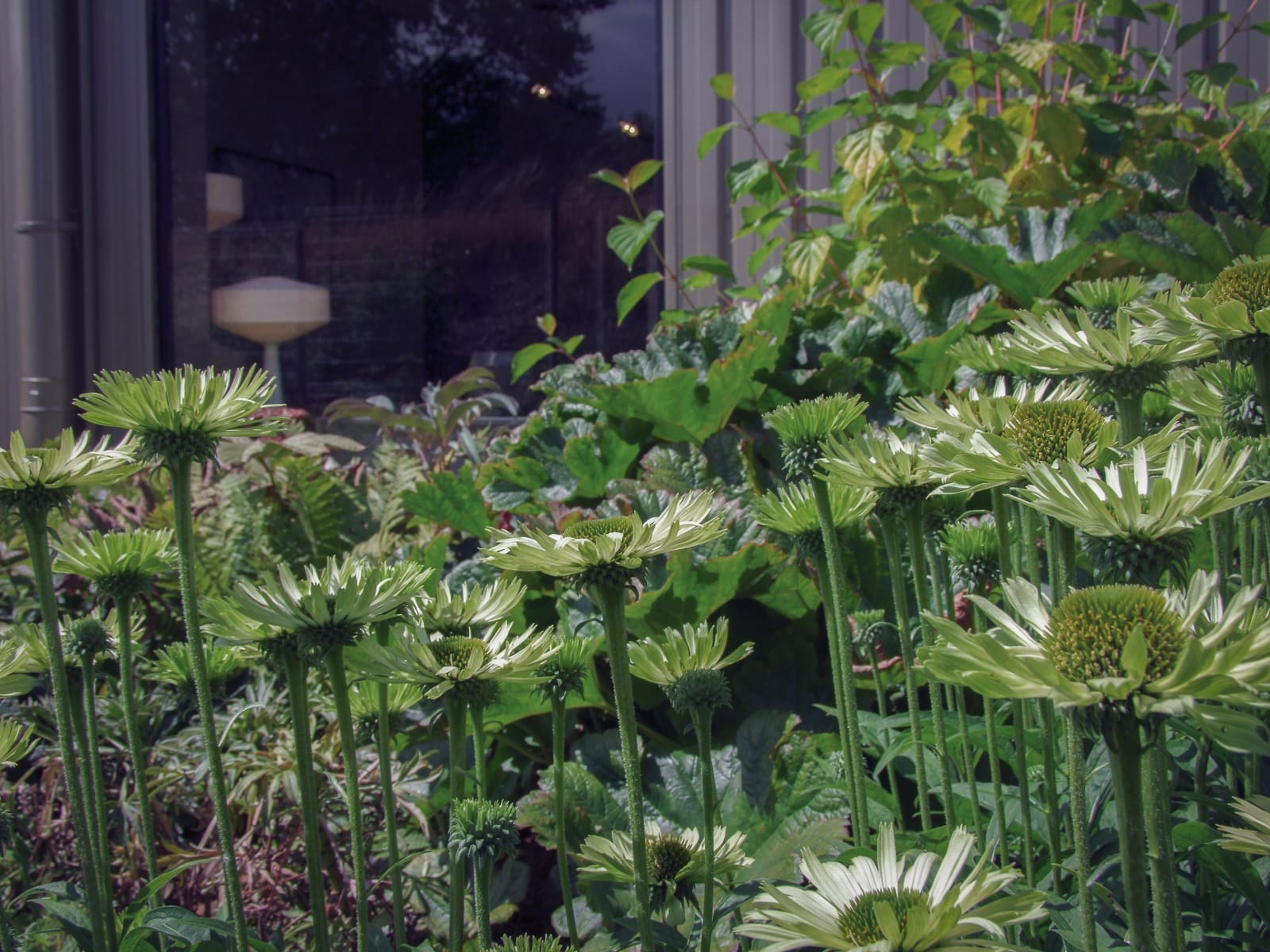 jardin lisière vivaces Roche Bobois coignières ®Hermelinecarpentier