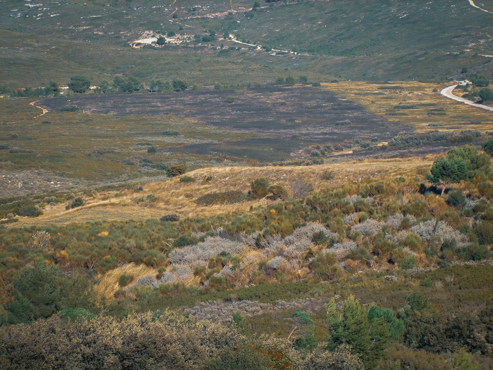 Frange ville nature Marseille Test feu massif etoile®Hermeline Carpentier