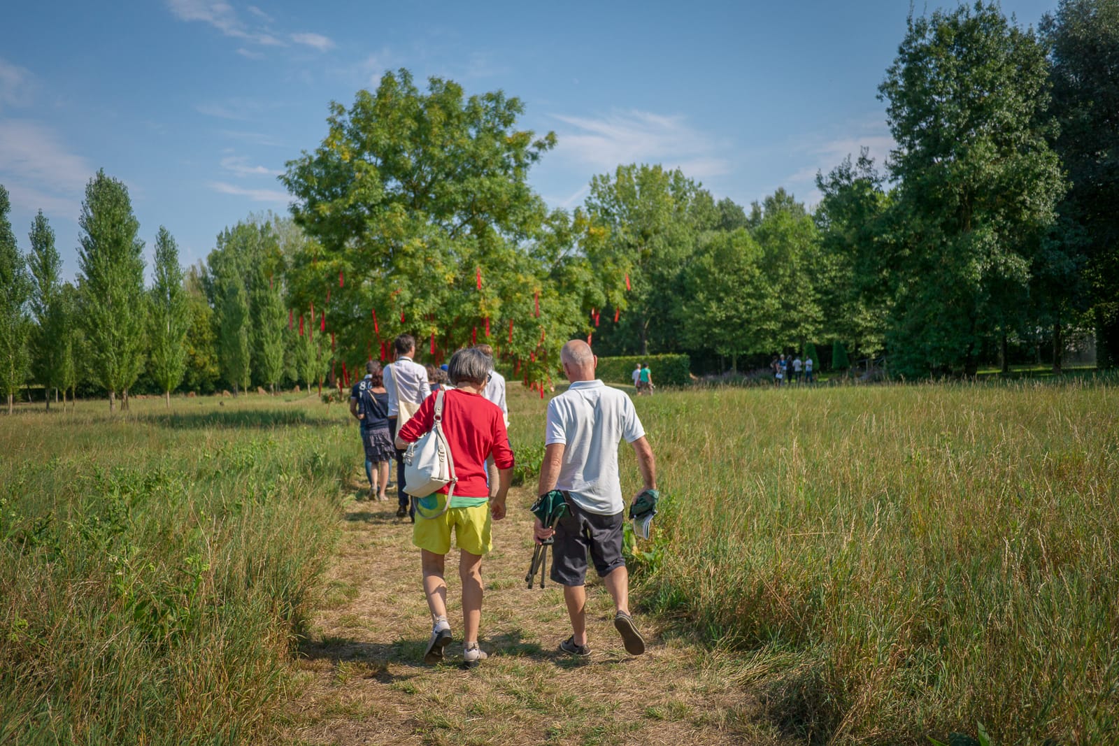 Jardin de musique festival Les arts florissants william Christie®Hermelinecarpentier