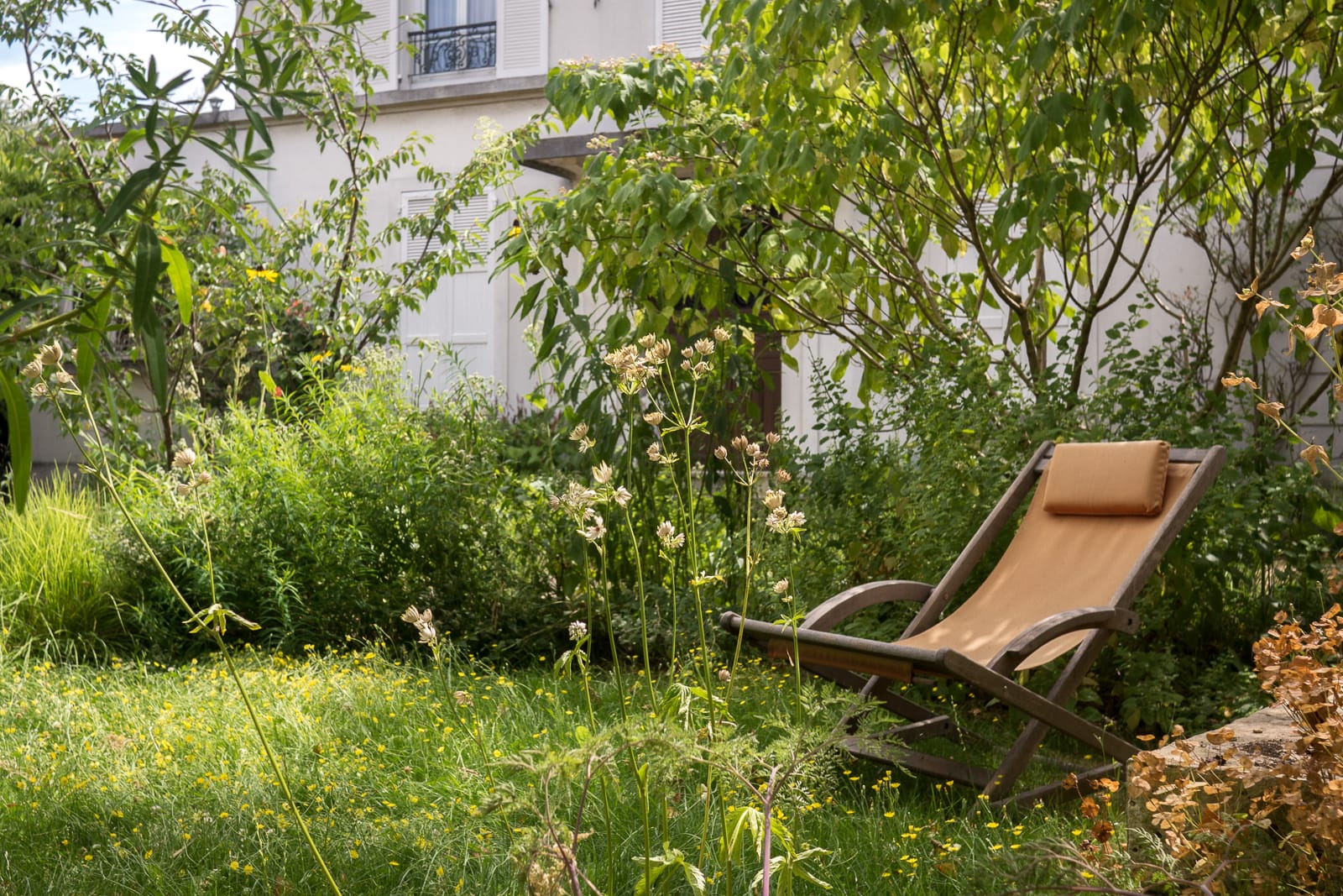 jardin vivaces naturopthe foisonnant