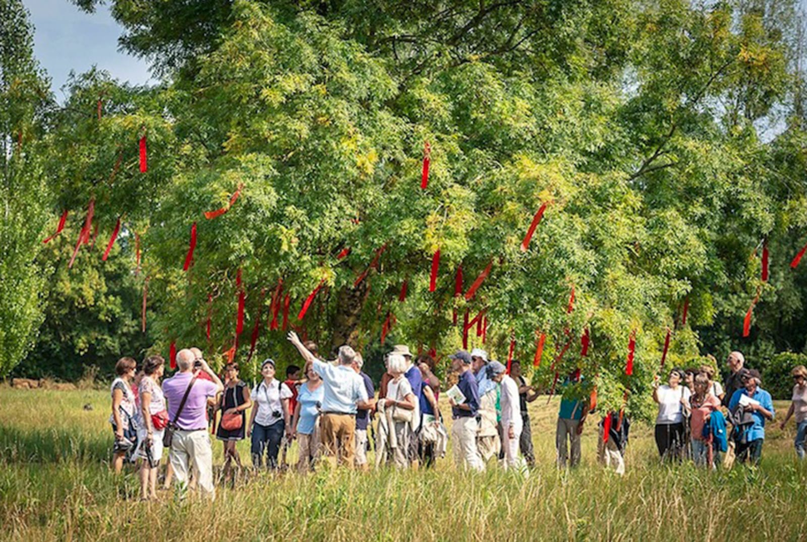Jardin de musique festival Les arts florissants william Christie®Hermelinecarpentier