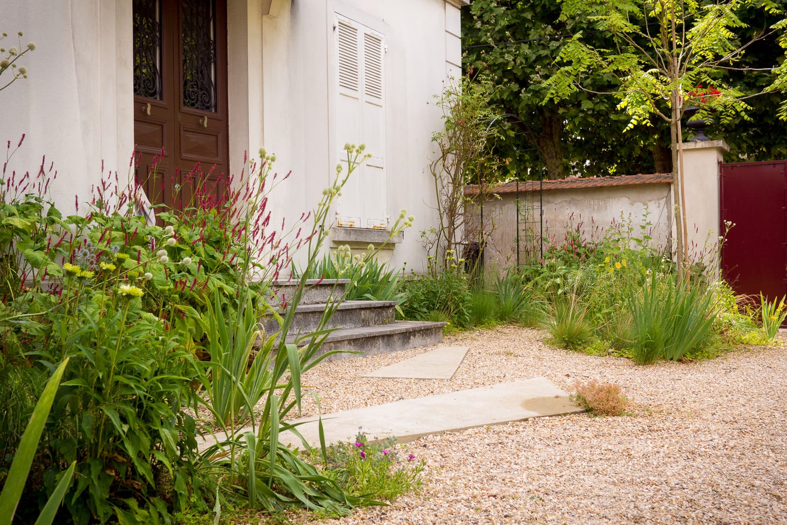 jardin vivaces naturopthe foisonnant