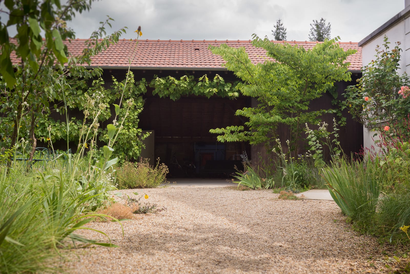 jardin vivaces naturopthe foisonnant