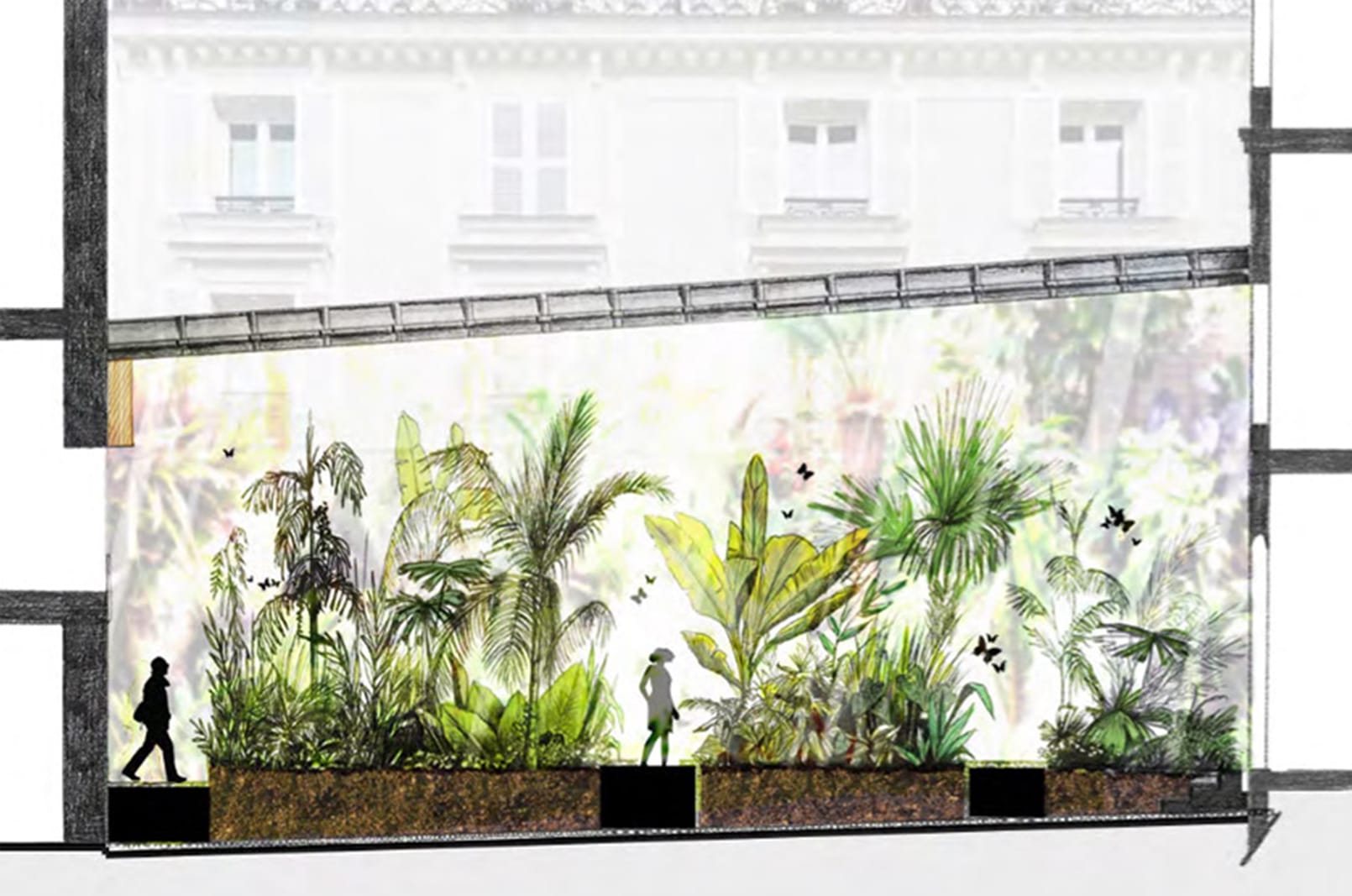 jardinmuseeparfum patioserreauxepices®Hermeline carpentier
