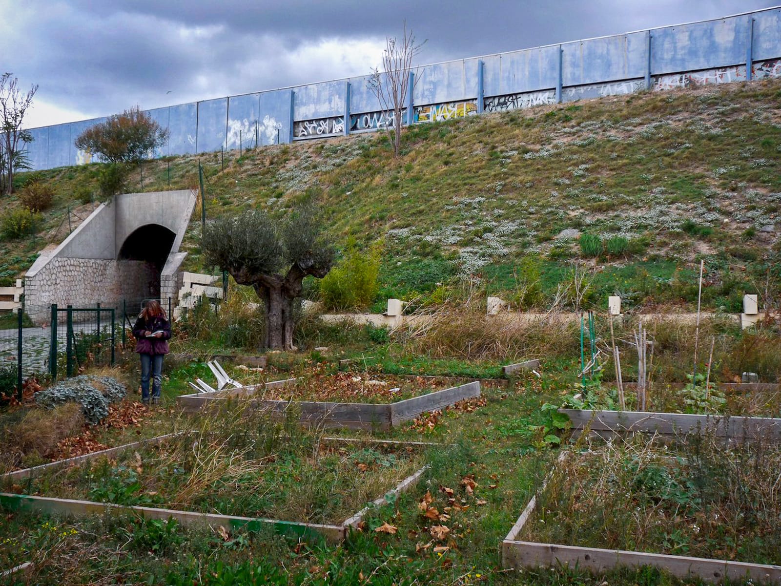 Frange ville nature Marseille jardins partages®Hermeline Carpentier