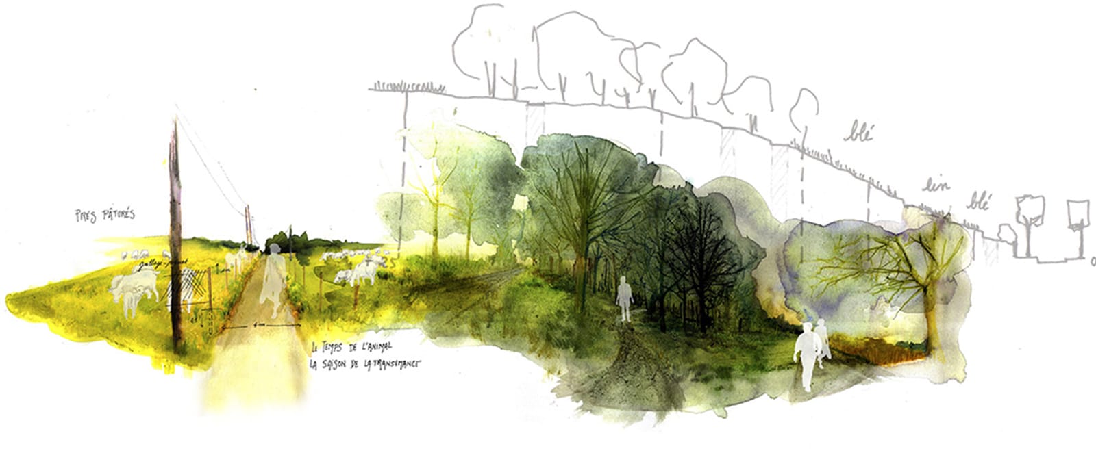 paysage temporel®Hermeline Carpentier