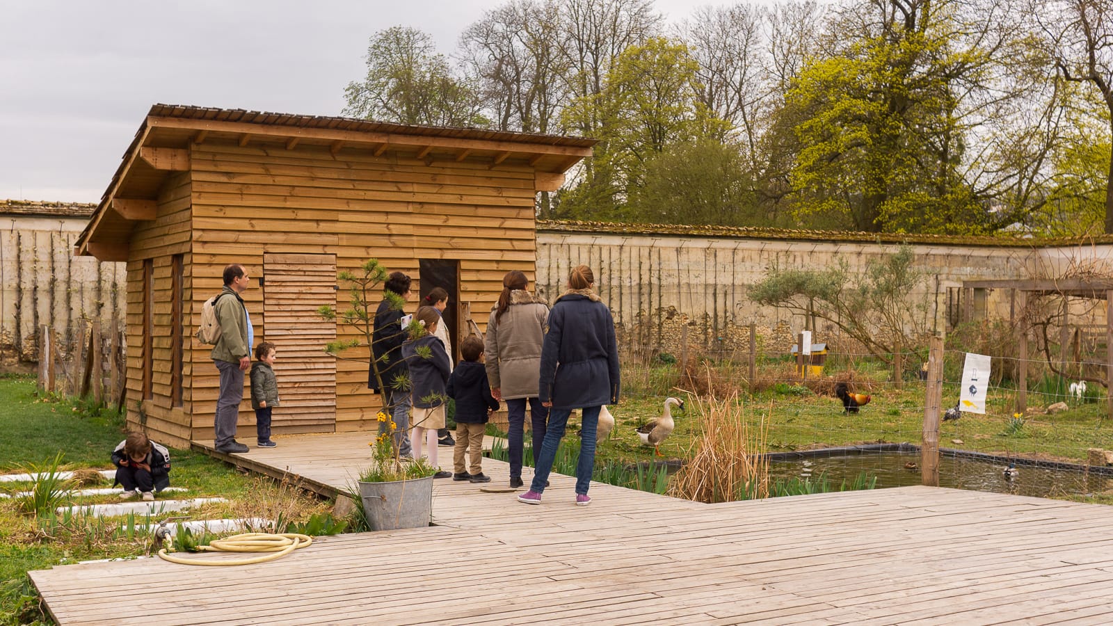 Poulailler pédagogique Potager du roi visite Picorama