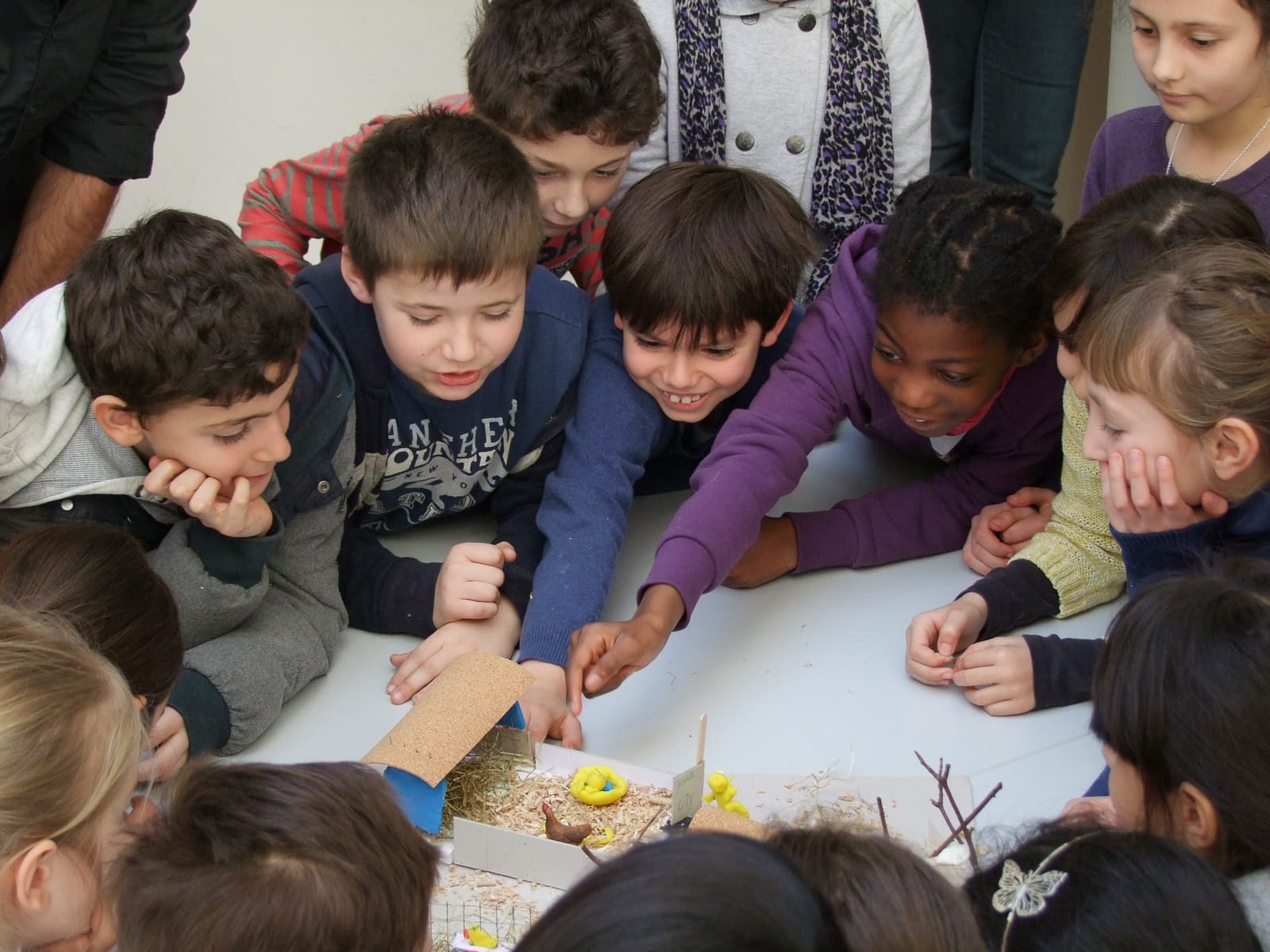 un poulailler pour paris ateliers participatif®Hermeline Carpentier