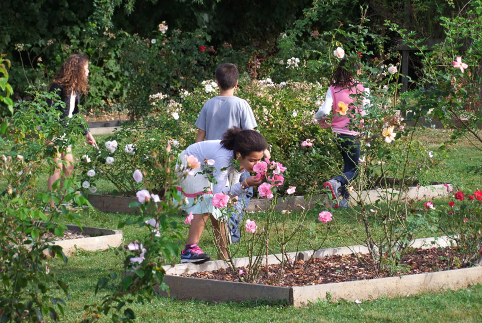 Visite parc des lilas les enfants du patrimoine un jardn dans ma main CAUE 94®Hermeline carpentier