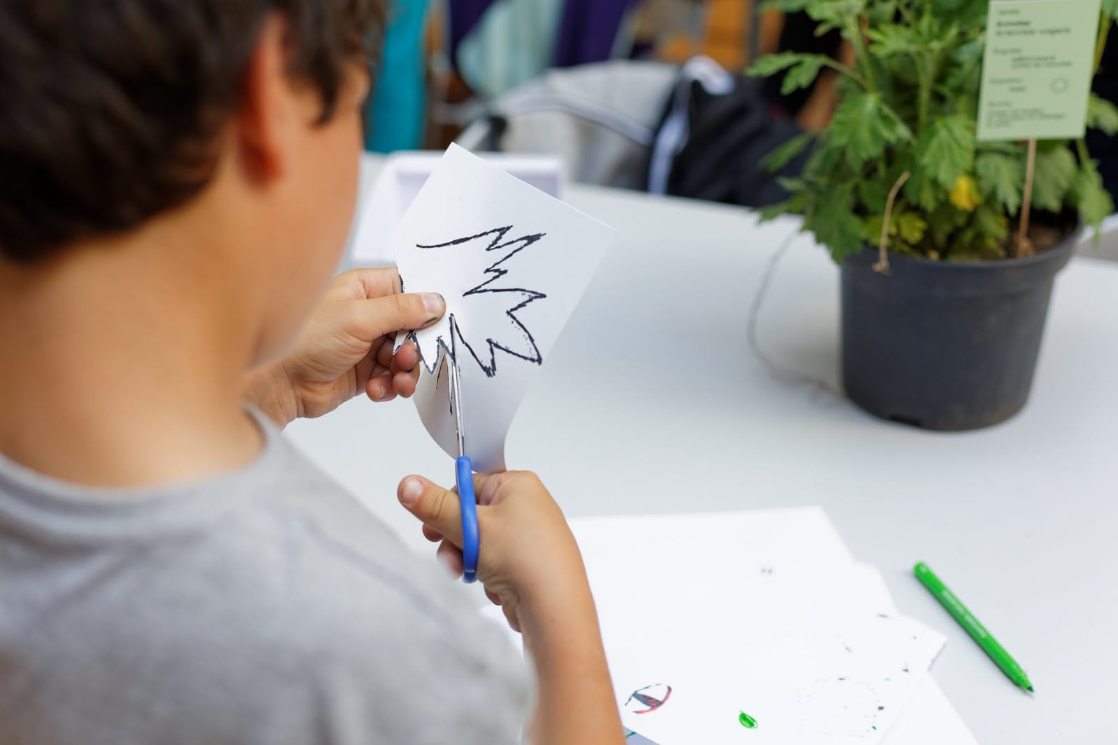 un poulailler pour paris ateliers participatif®Hermeline Carpentier