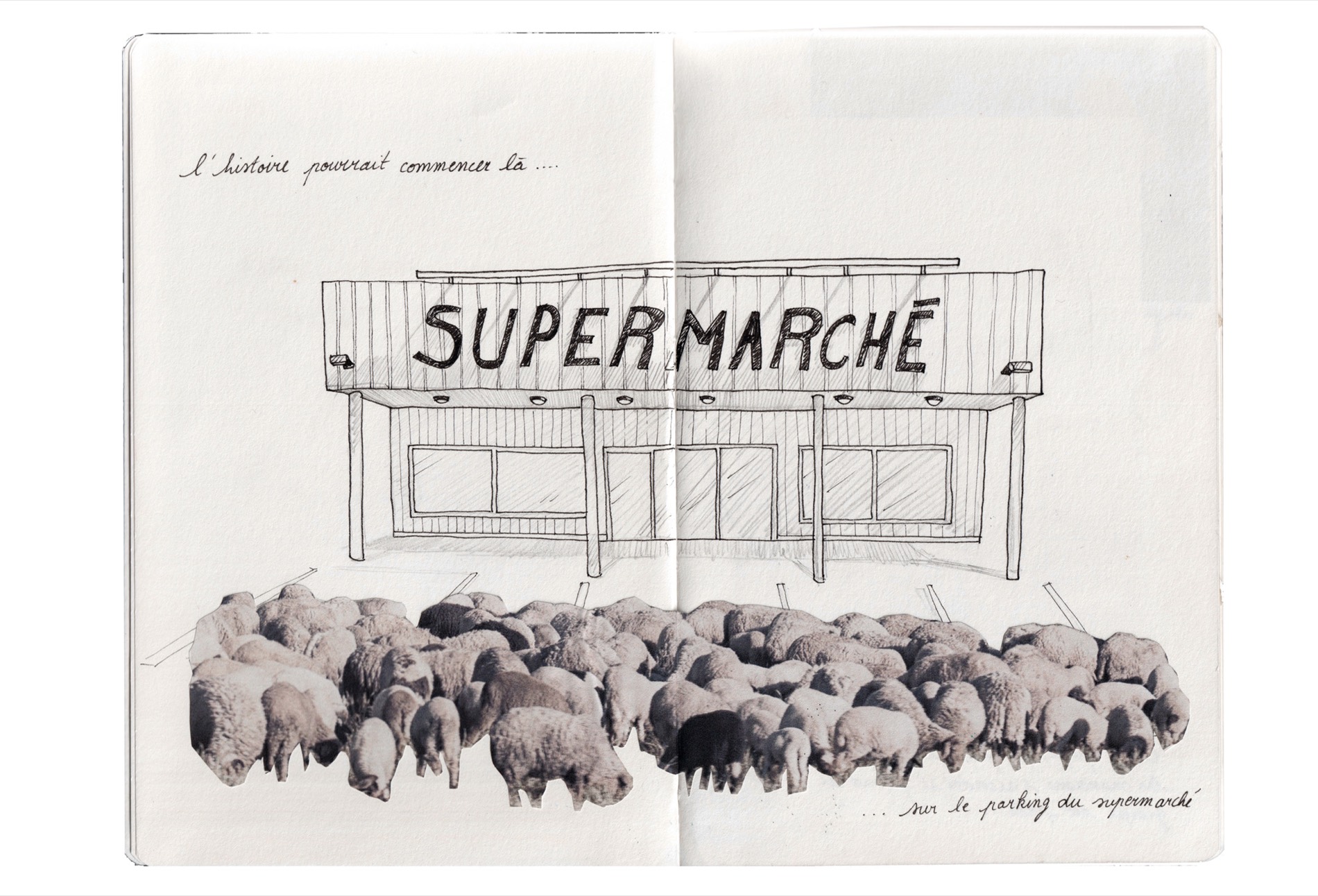 Spectaculaire Transhumance — Hermeline Carpentier