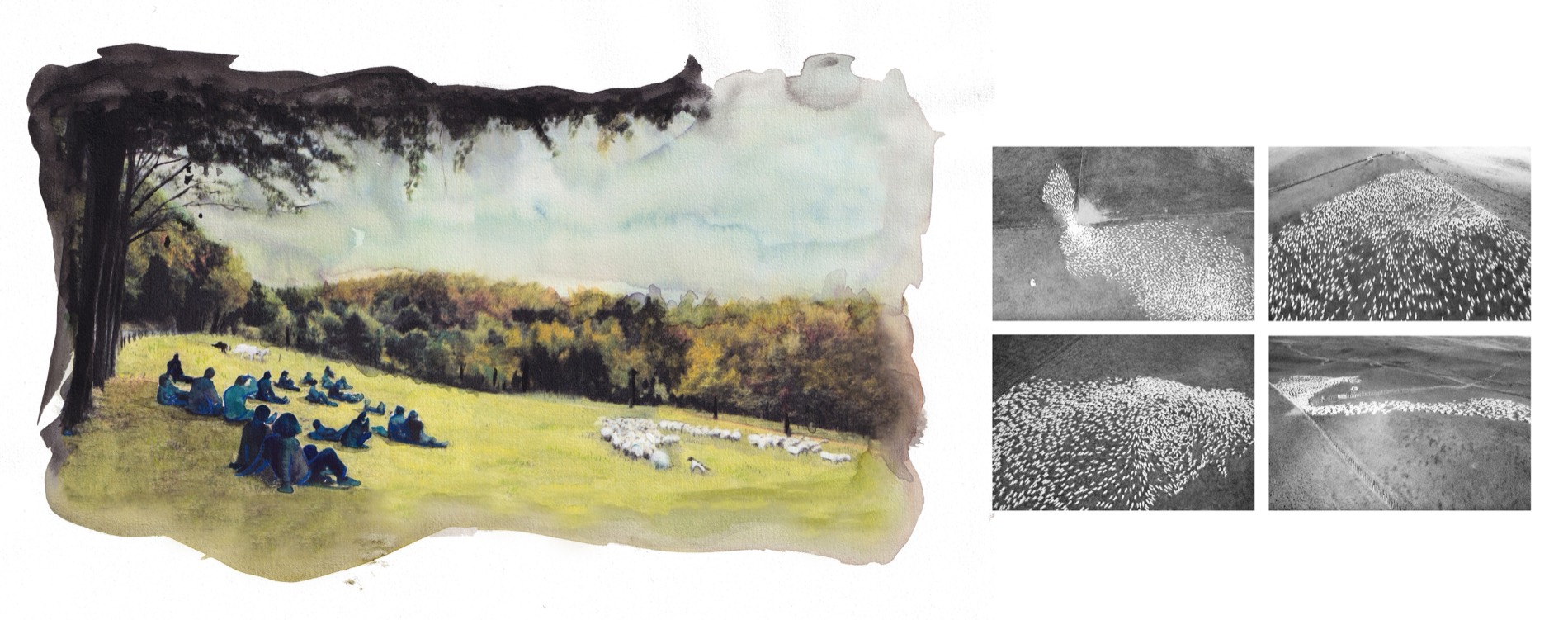 Spectaculaire Transhumance — Hermeline Carpentier