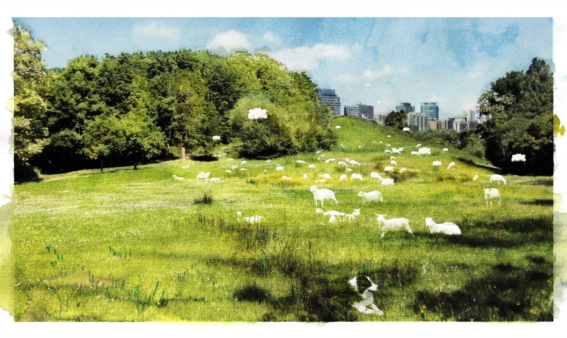 Spectaculaire Transhumance — Hermeline Carpentier