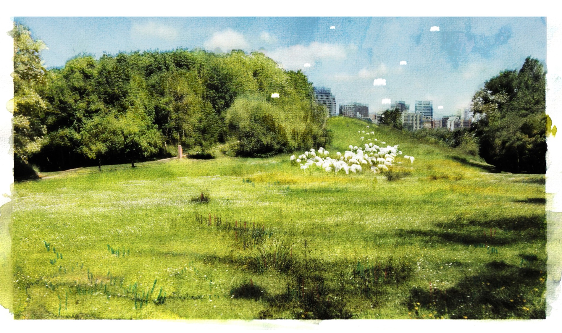Spectaculaire Transhumance — Hermeline Carpentier